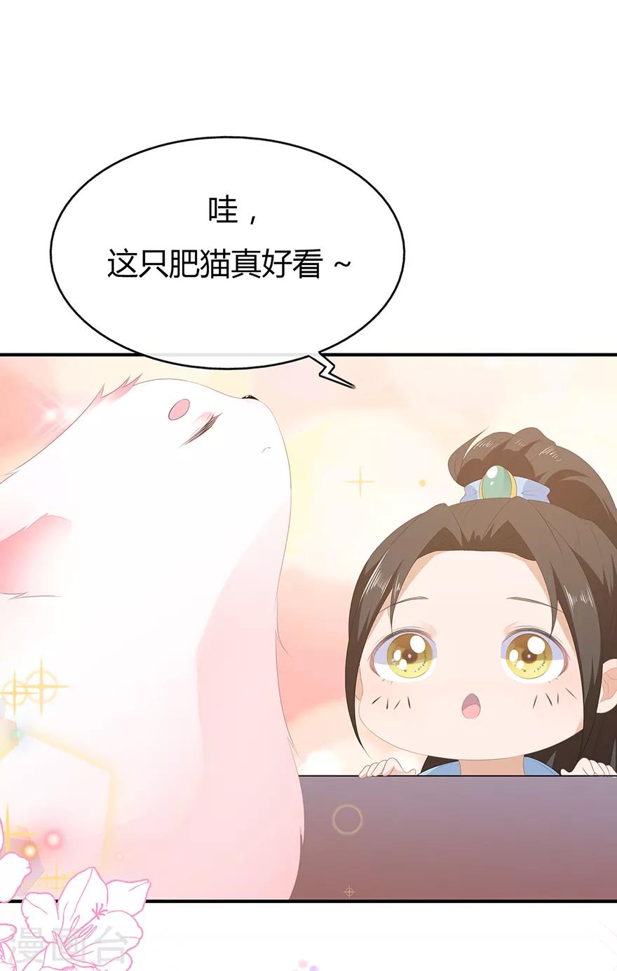 《狐妃,别惹我》第29话 美人身世 第48页