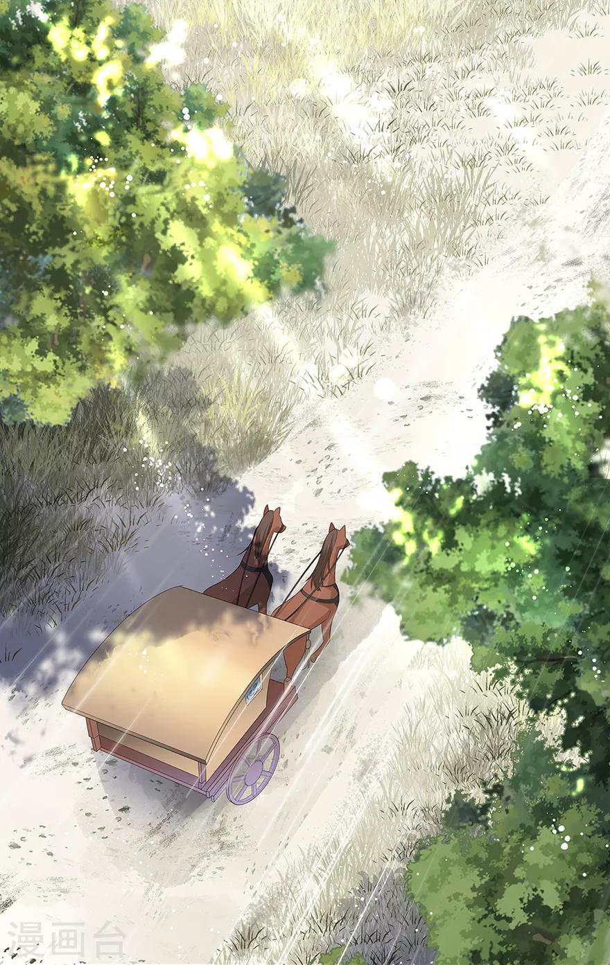 《狐妃,别惹我》第33话 你说我好不好看 第3页