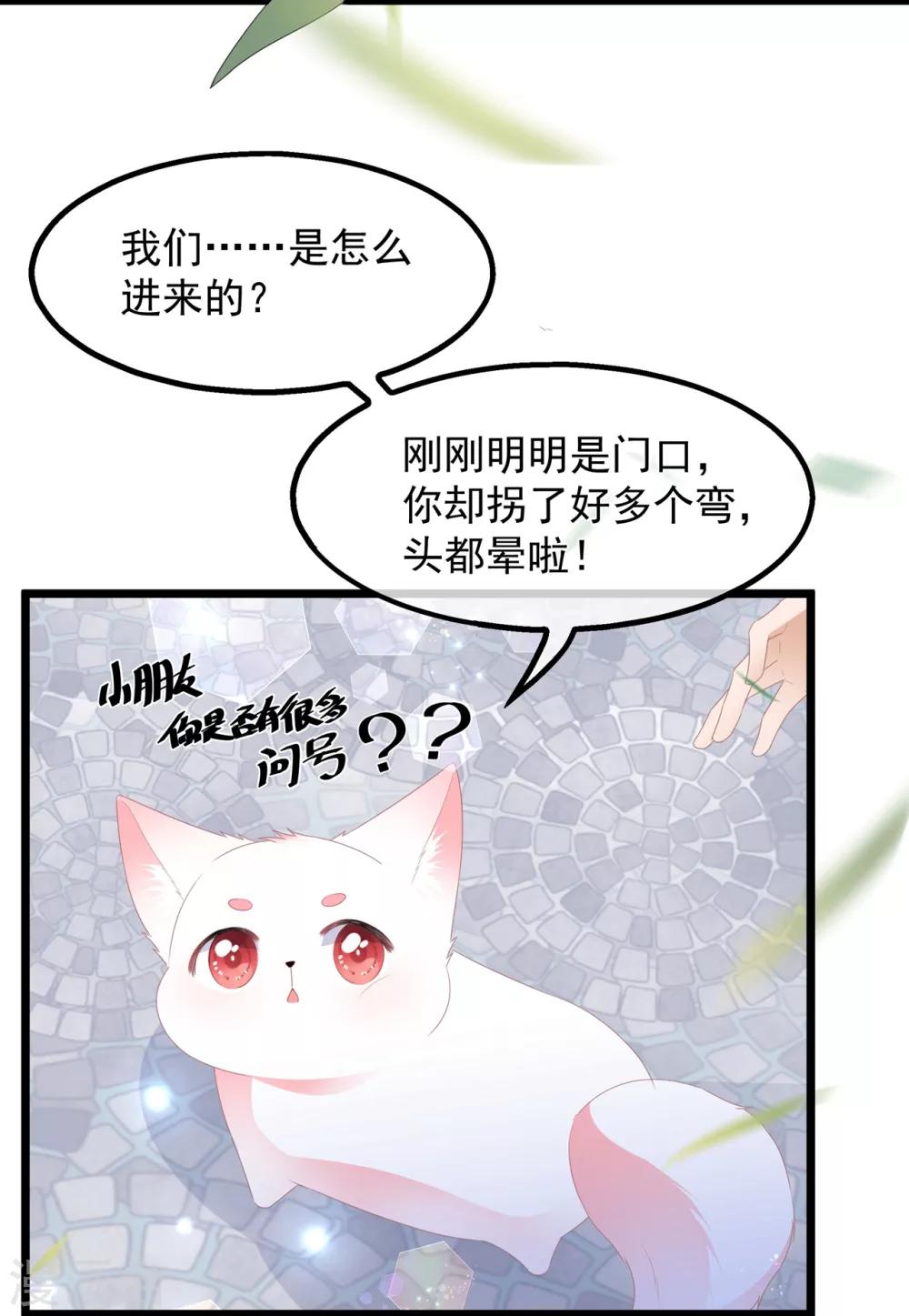 《狐妃,别惹我》第39话 宸王母妃 第27页