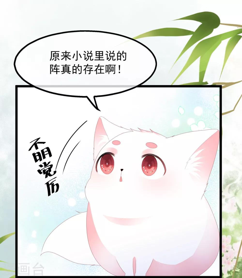 《狐妃,别惹我》第39话 宸王母妃 第29页