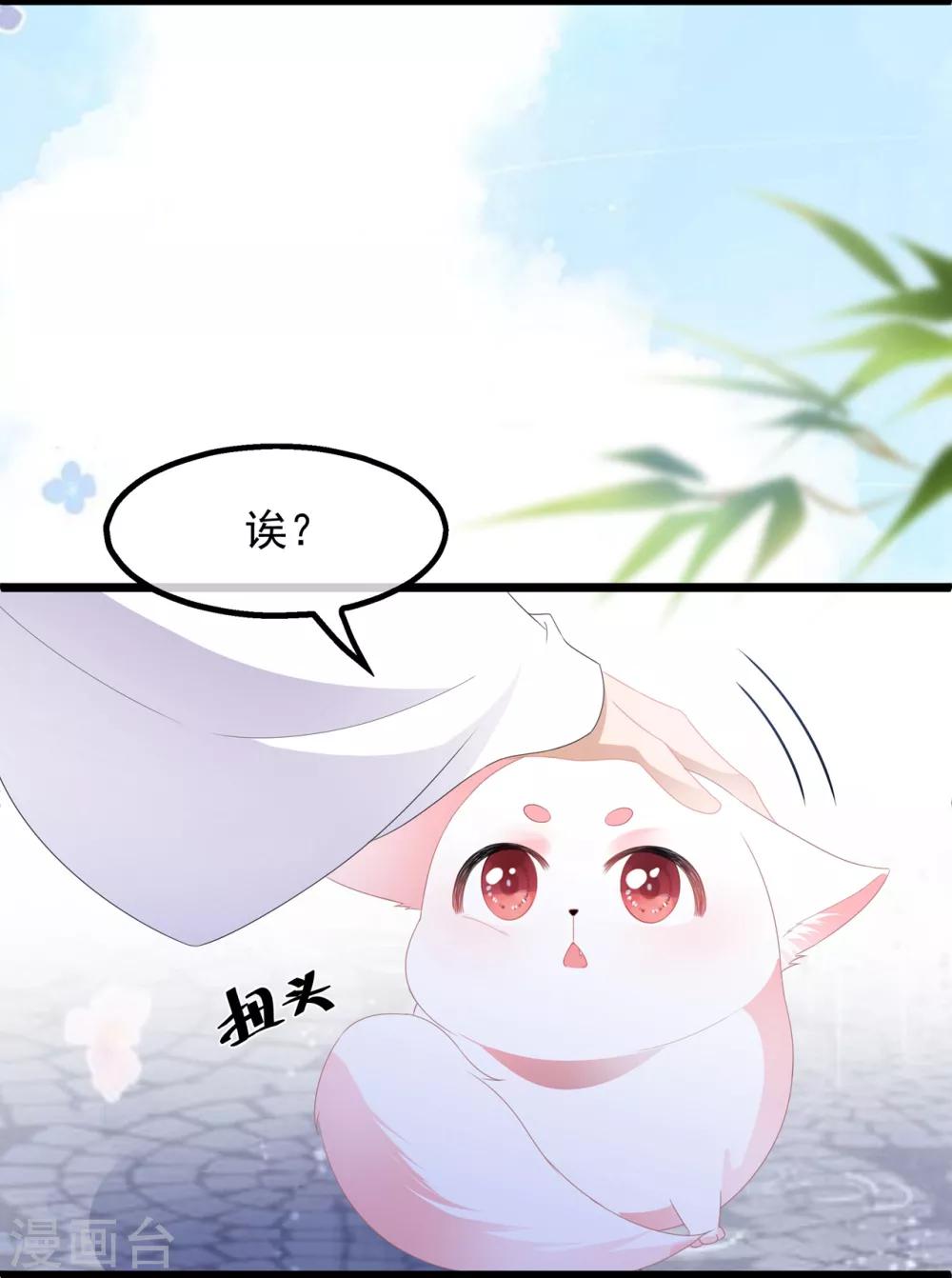 《狐妃,别惹我》第39话 宸王母妃 第31页
