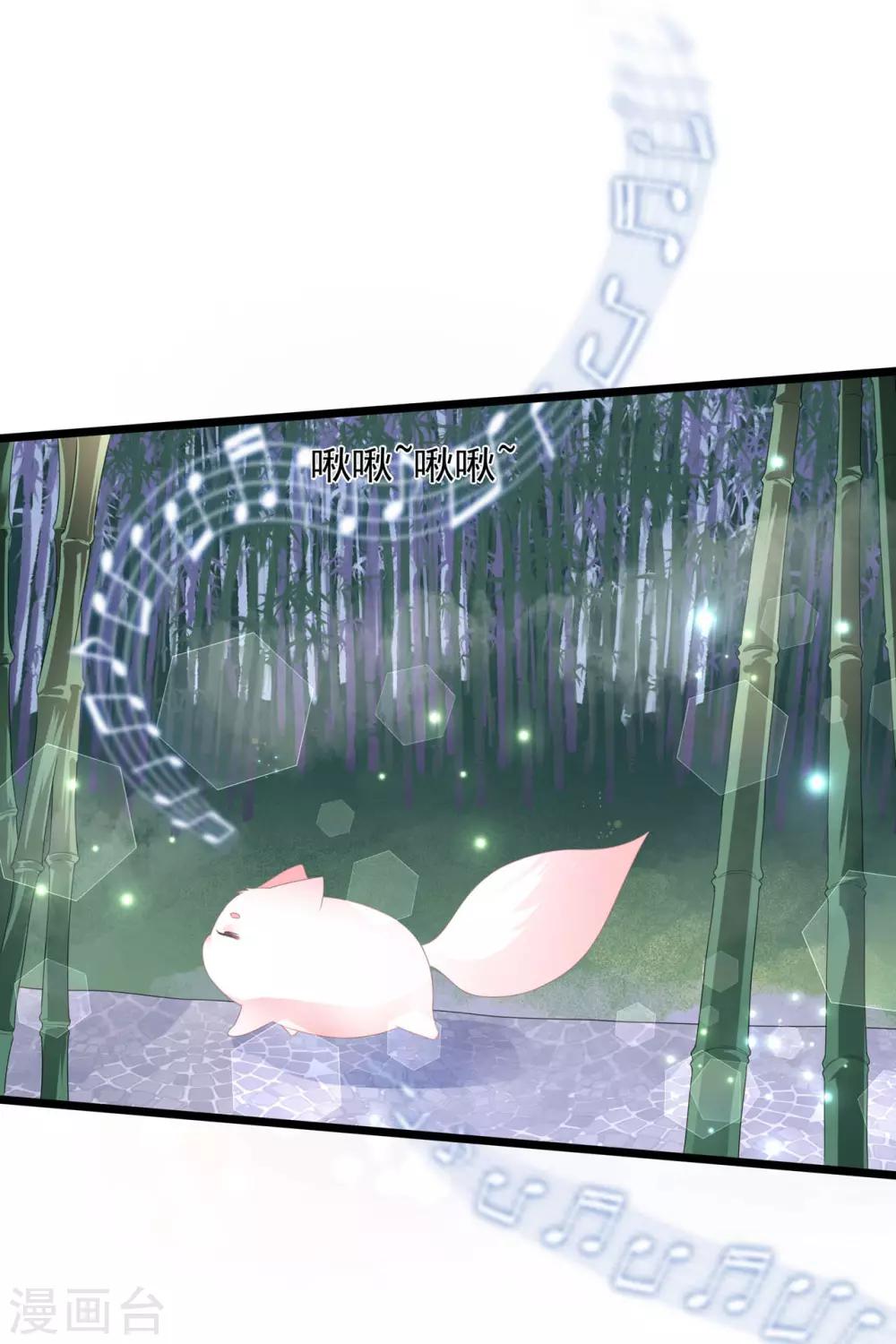 《狐妃,别惹我》第40话 进入迷阵 第11页