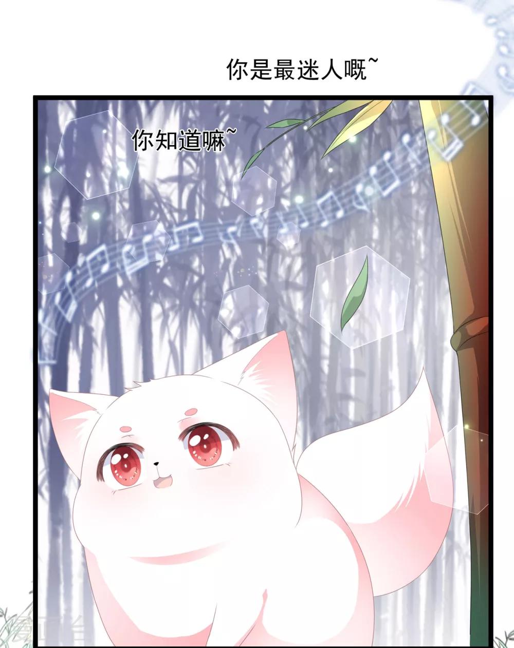 《狐妃,别惹我》第40话 进入迷阵 第12页