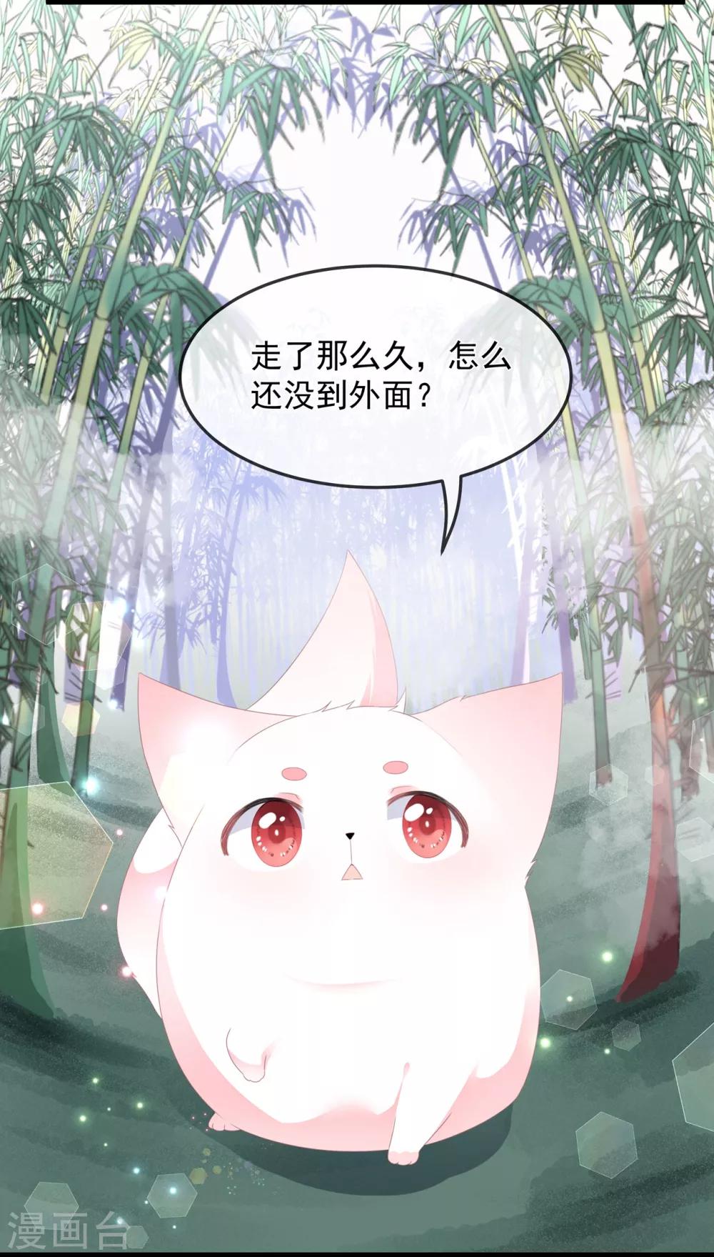 《狐妃,别惹我》第40话 进入迷阵 第13页