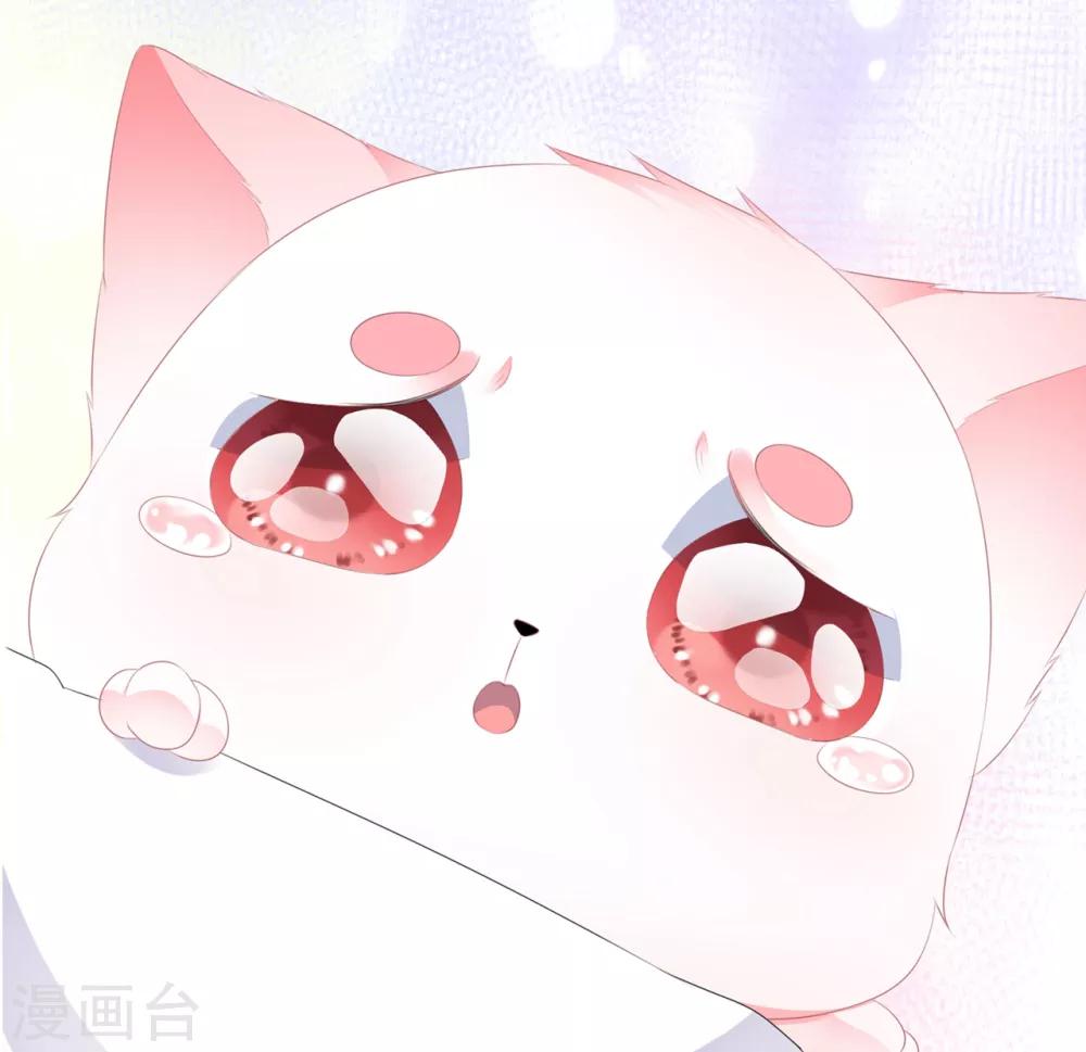《狐妃,别惹我》第40话 进入迷阵 第39页