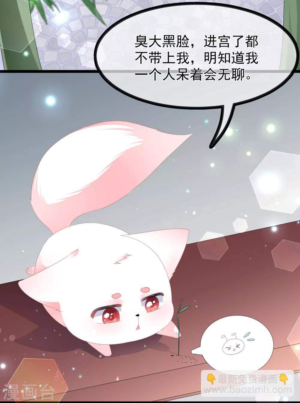 《狐妃,别惹我》第40话 进入迷阵 第4页
