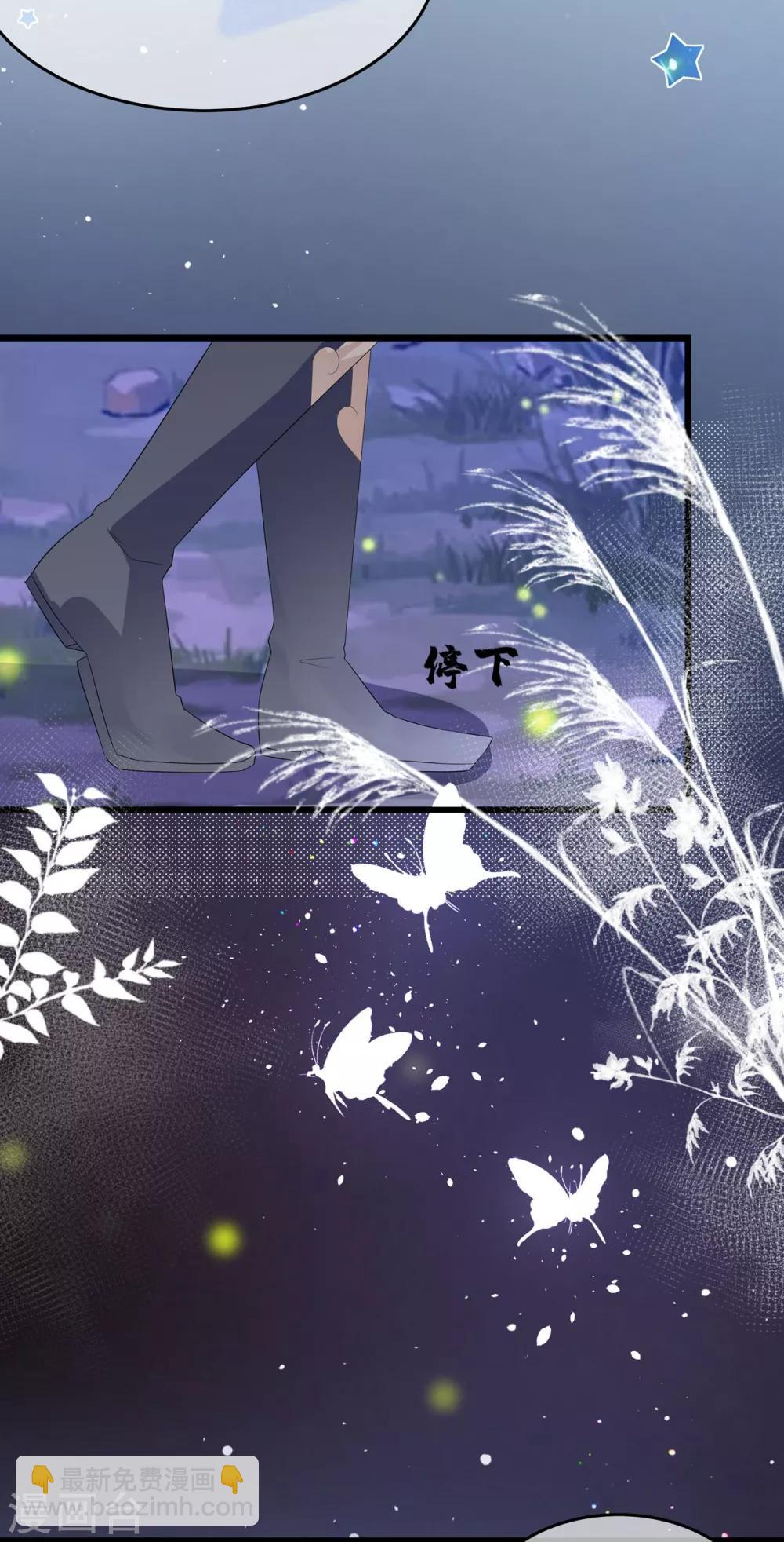 《狐妃,别惹我》第53话 萤火虫下，与你约会 第13页