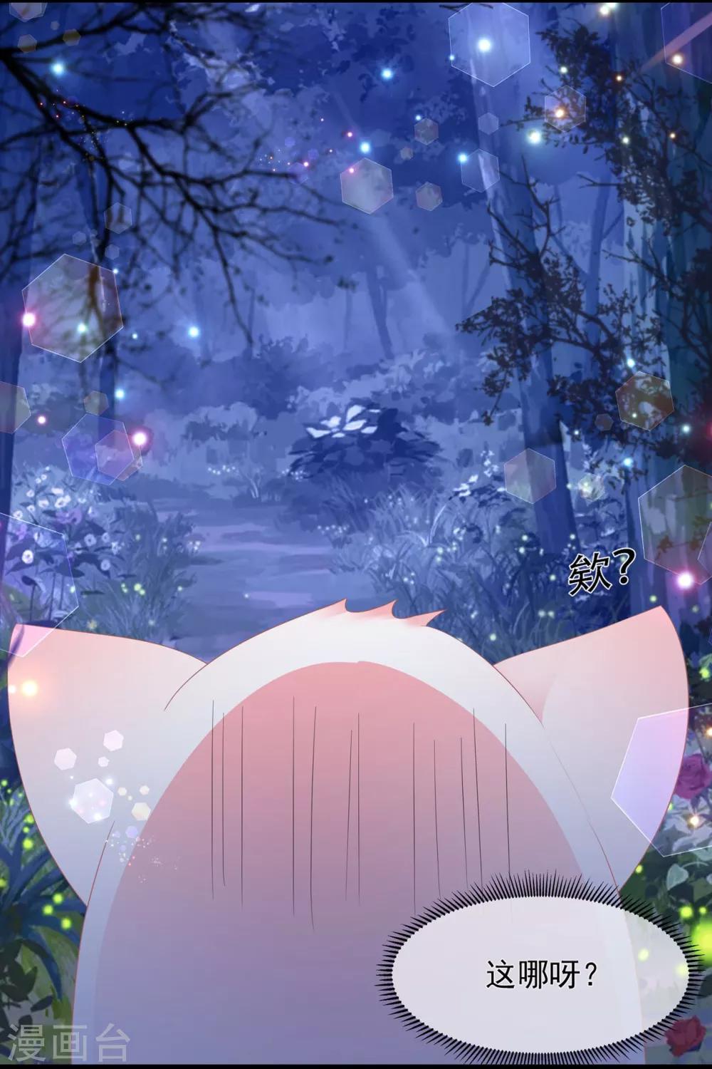 《狐妃,别惹我》第53话 萤火虫下，与你约会 第6页