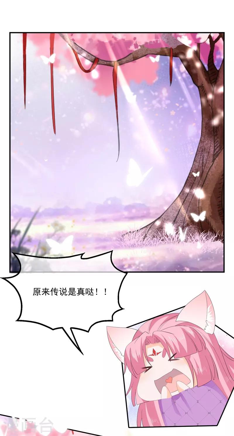 《狐妃,别惹我》番外2 清希、千城，欢迎回家！ 第10页