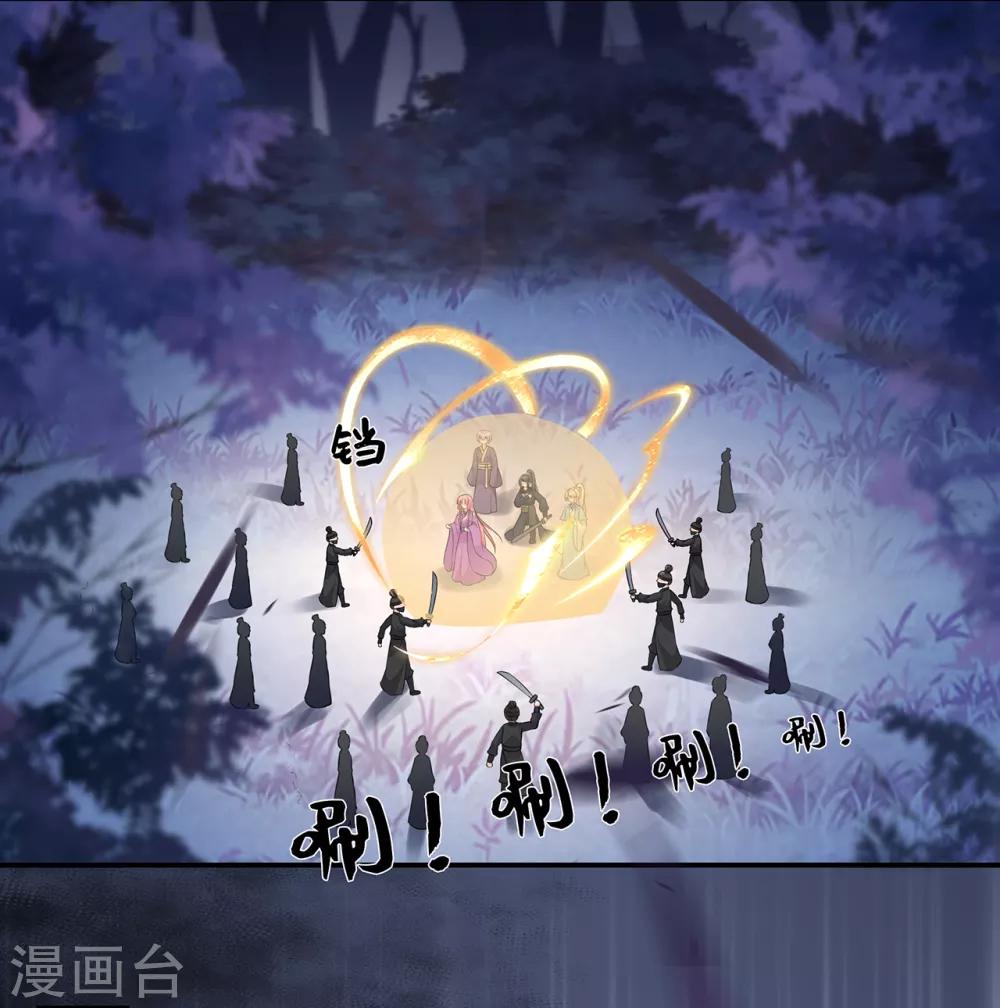 《狐妃,别惹我》第57话 宫外遇刺 第28页