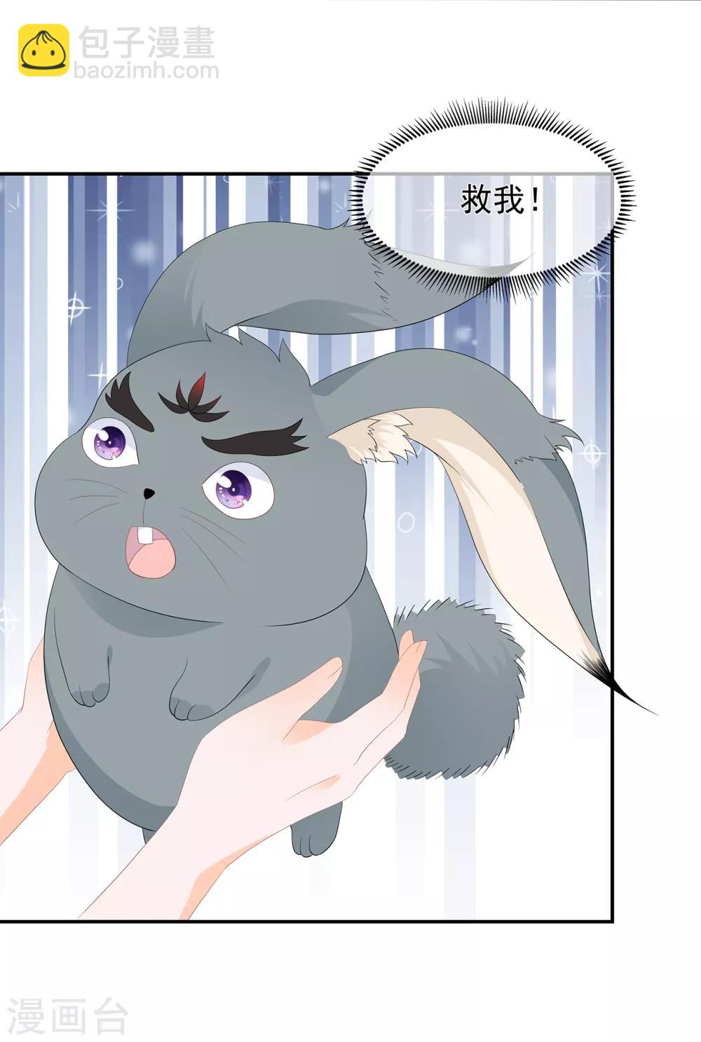 《狐妃,别惹我》第62话 神秘的黑兔 第35页