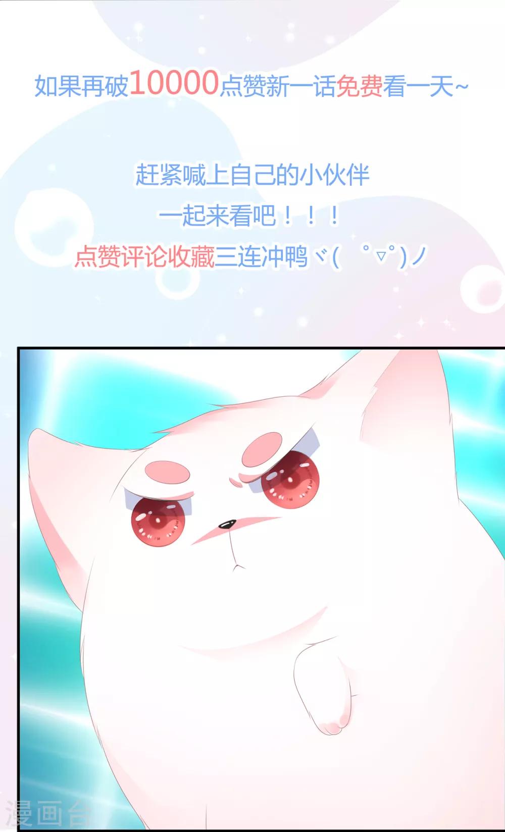 《狐妃,别惹我》第62话 神秘的黑兔 第38页