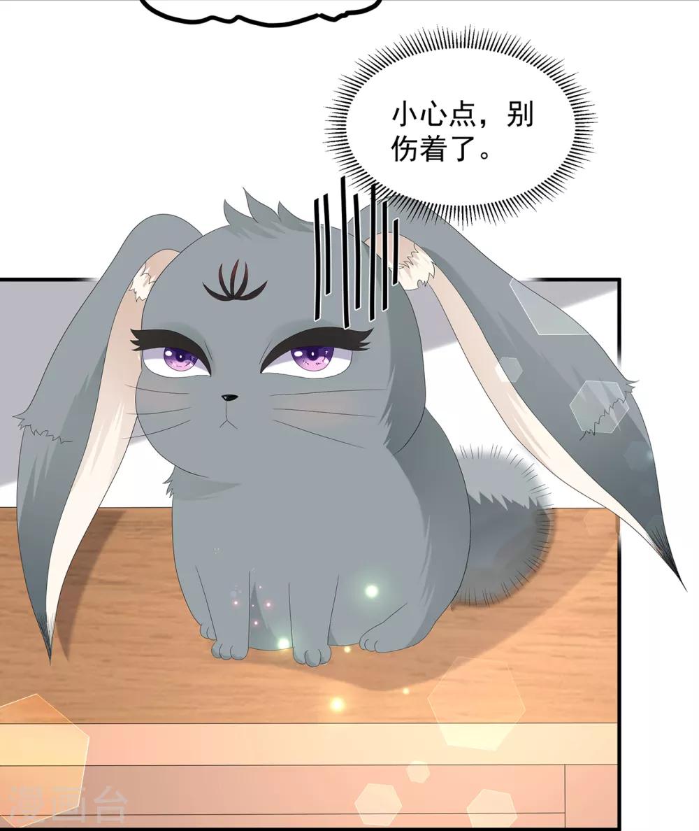 《狐妃,别惹我》第72话 该结束了 第12页