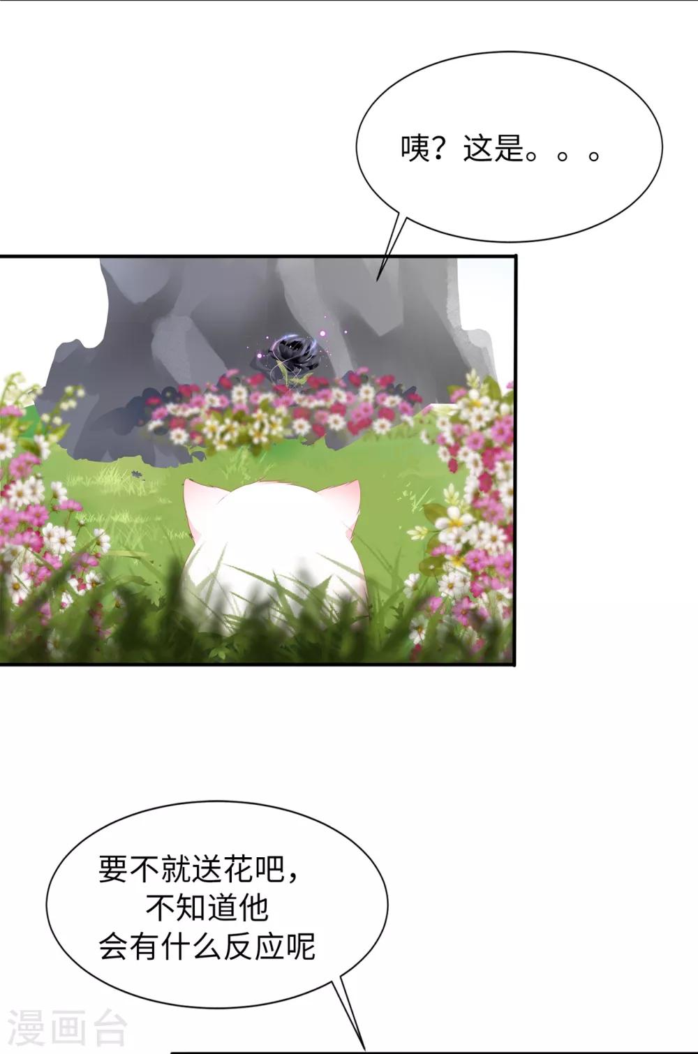 《狐妃,别惹我》番外4 七夕约会 第2页