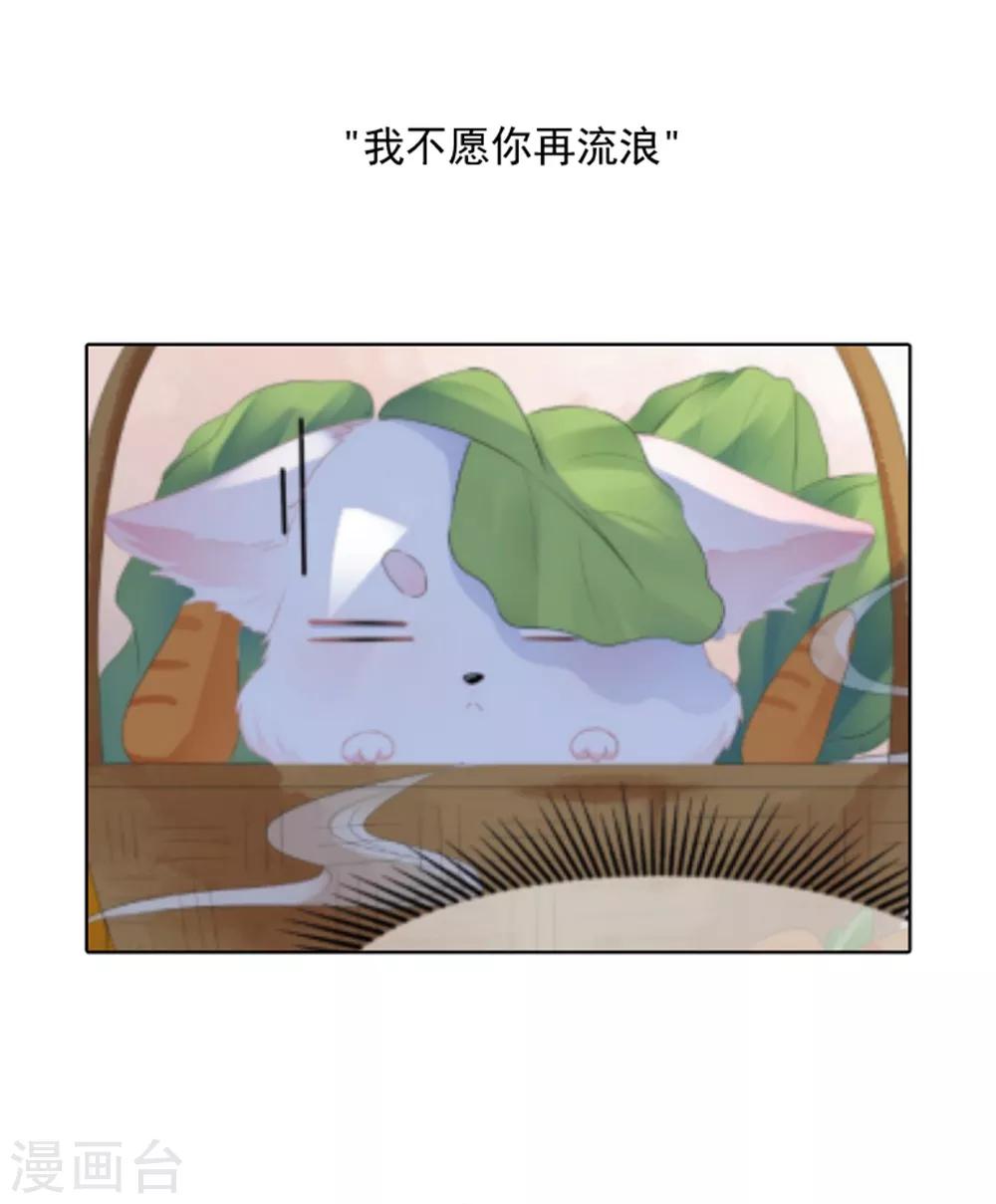 《狐妃,别惹我》第82话 暴风雨前的宁静 第41页