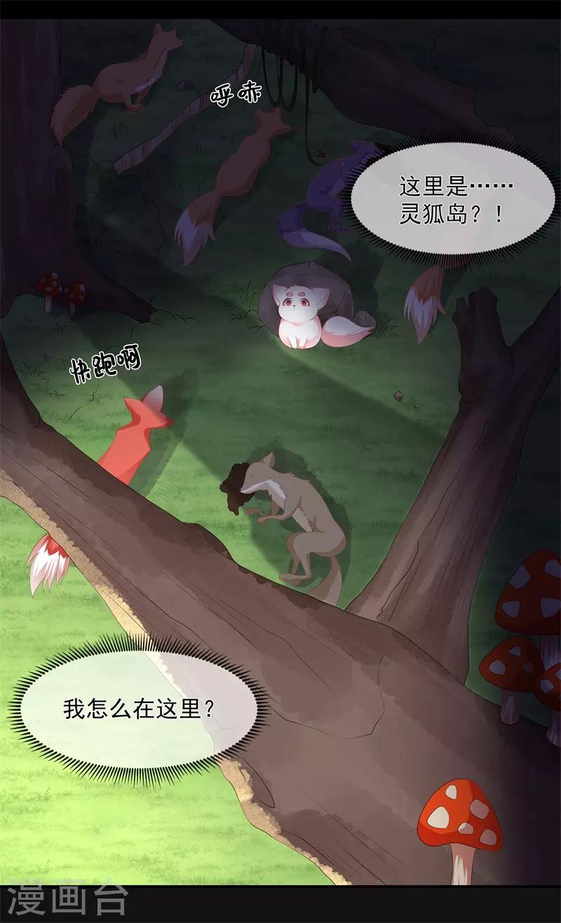 《狐妃,别惹我》第90话 灵狐传承 第11页