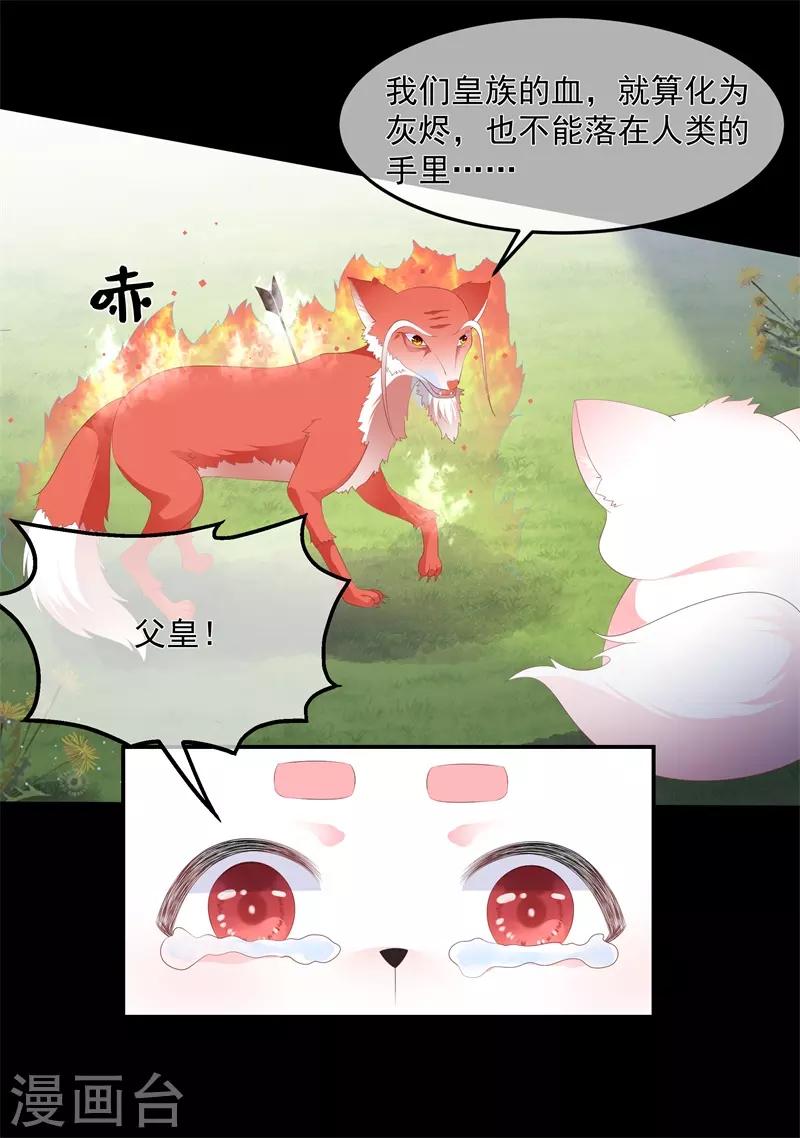 《狐妃,别惹我》第90话 灵狐传承 第15页