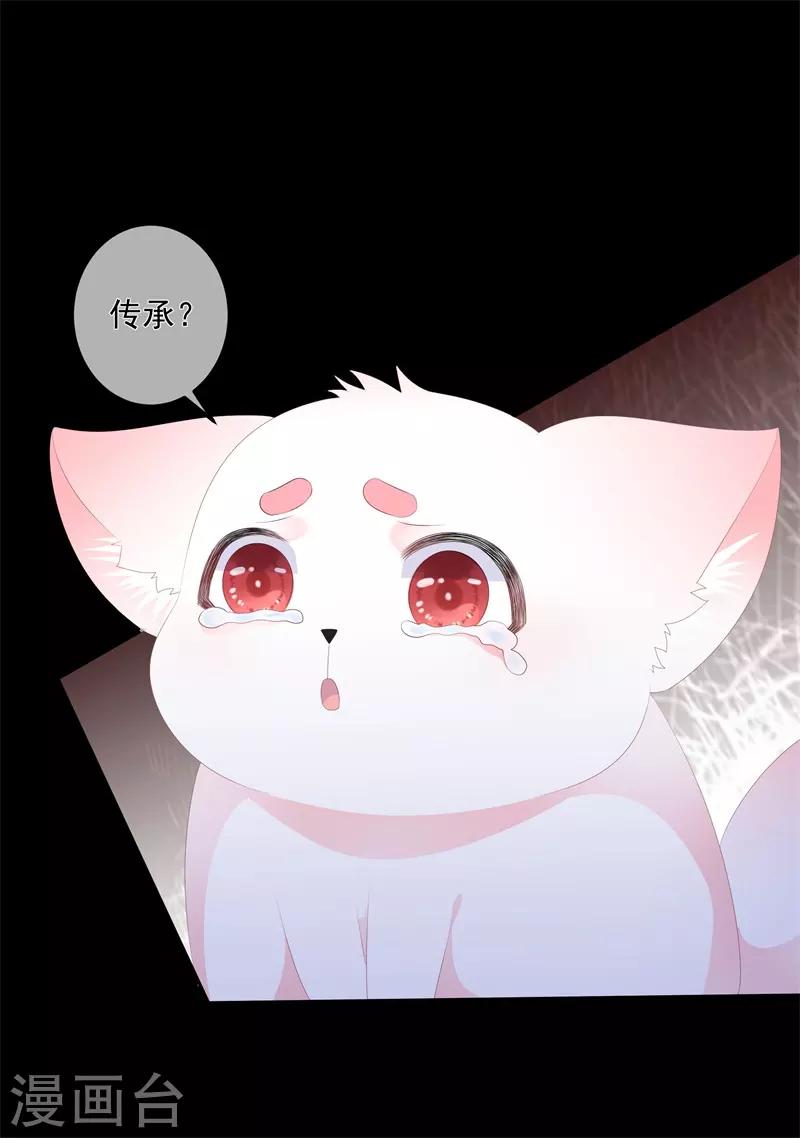 《狐妃,别惹我》第90话 灵狐传承 第18页