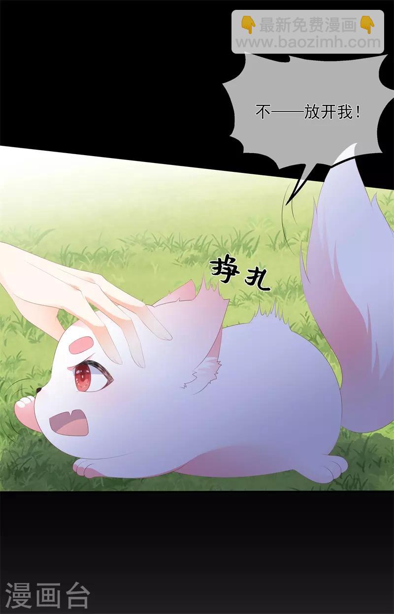 《狐妃,别惹我》第90话 灵狐传承 第27页
