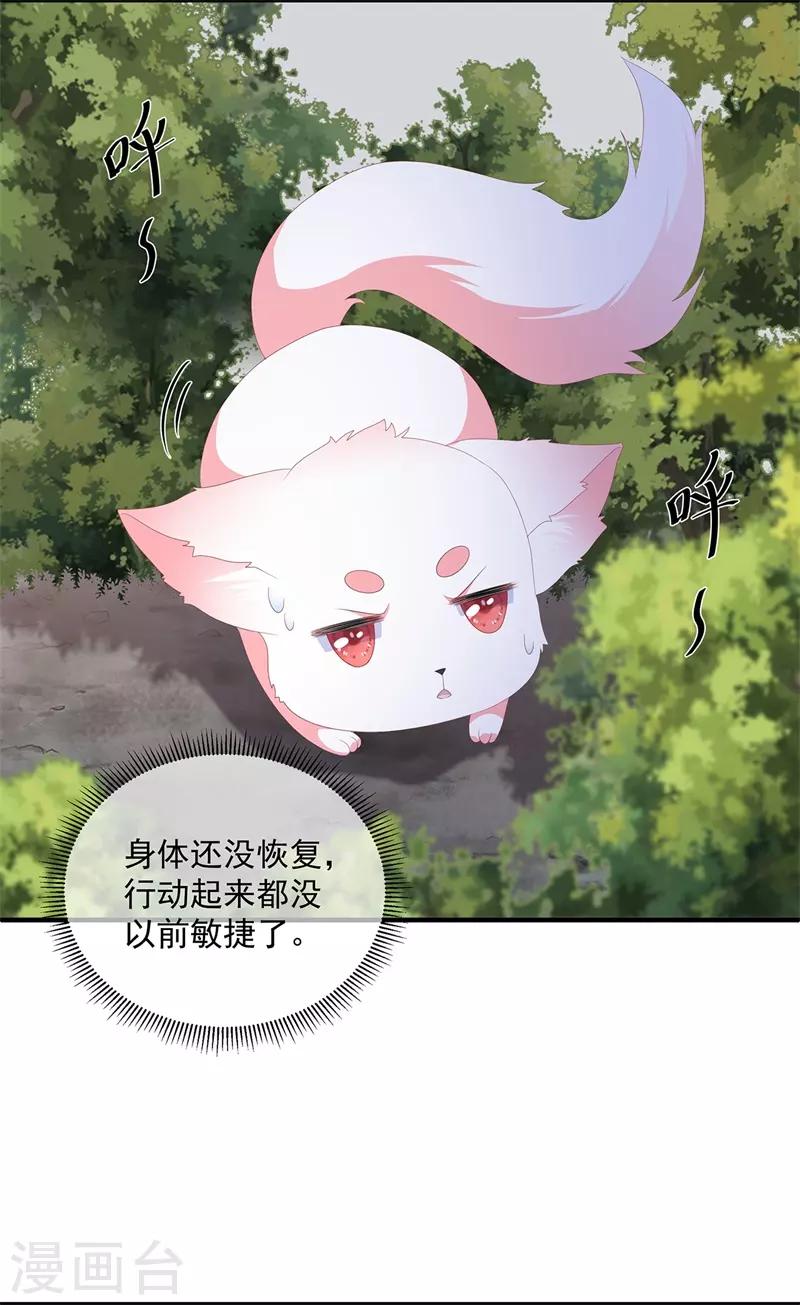《狐妃,别惹我》第96话 狠心“琴师” 第14页