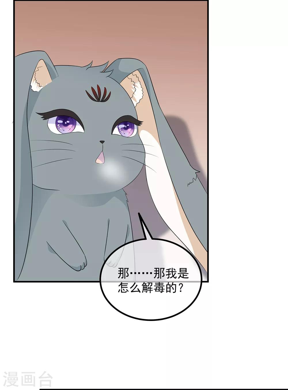 《狐妃,别惹我》第99话 前往北国 第23页