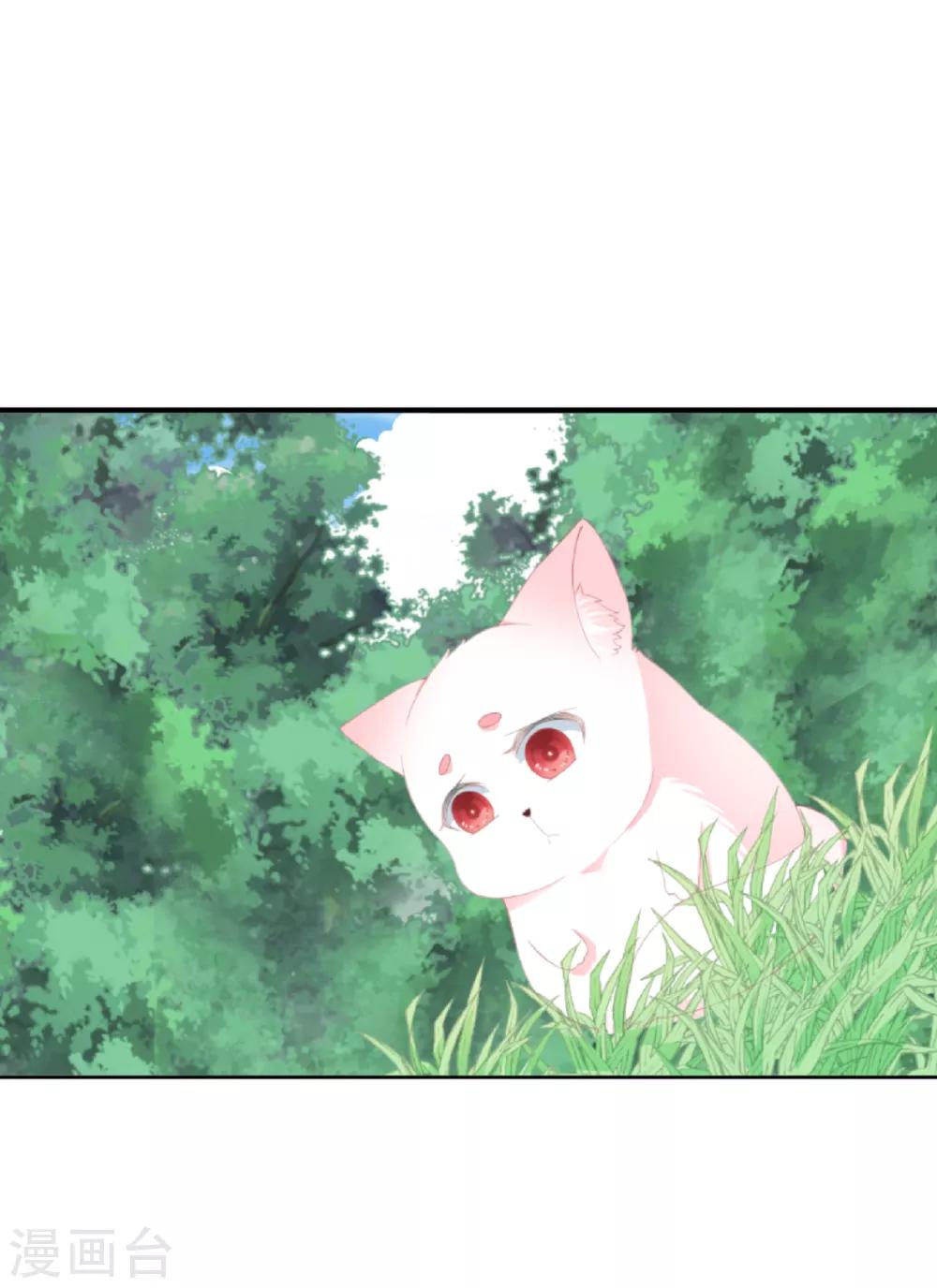 《狐妃,别惹我》第101话 再会 第37页