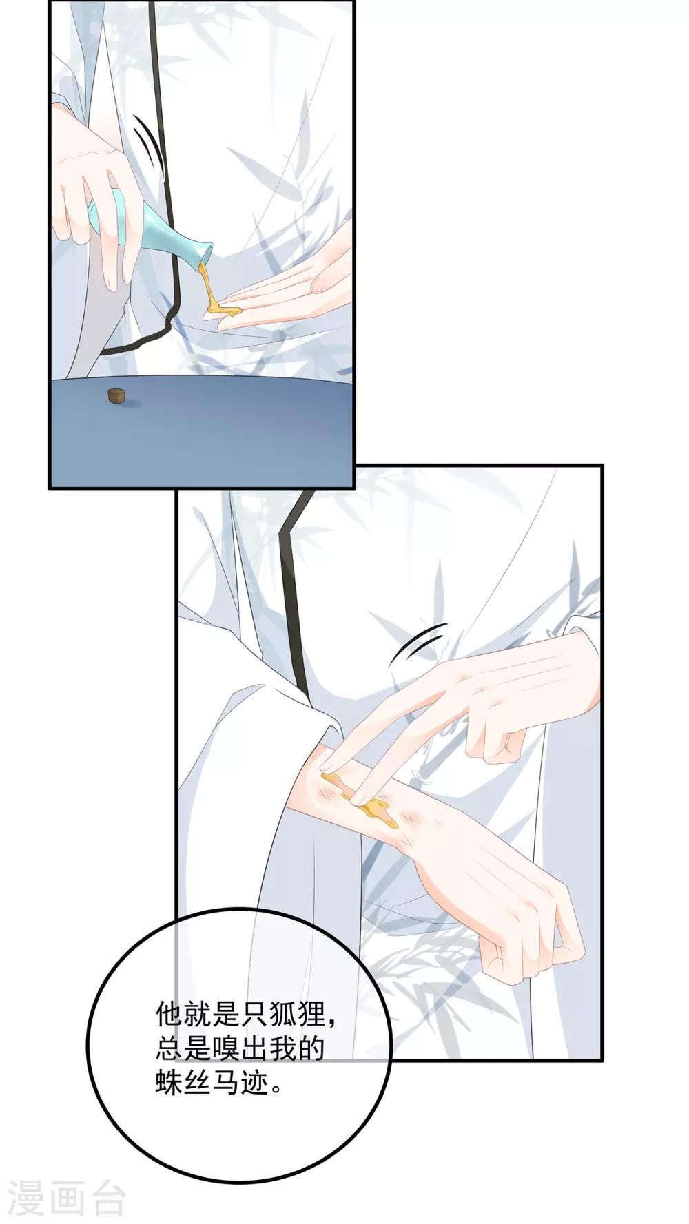《狐妃,别惹我》第106话 暗中计划 第27页