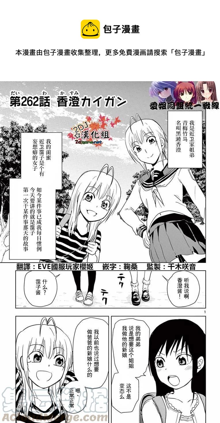《姐姐的幻想日记》262 第1页