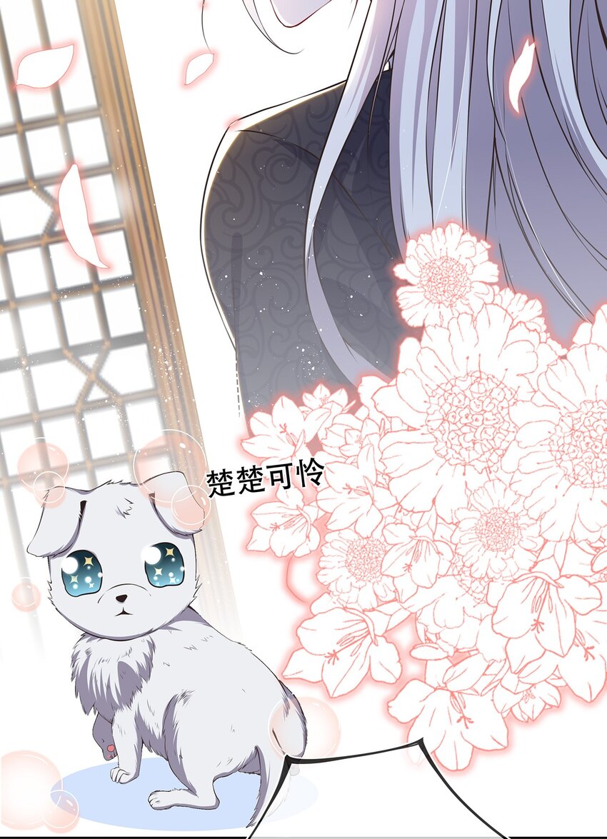 《门派只有我一个渣渣》第32话 分开住？我不要！ 第34页