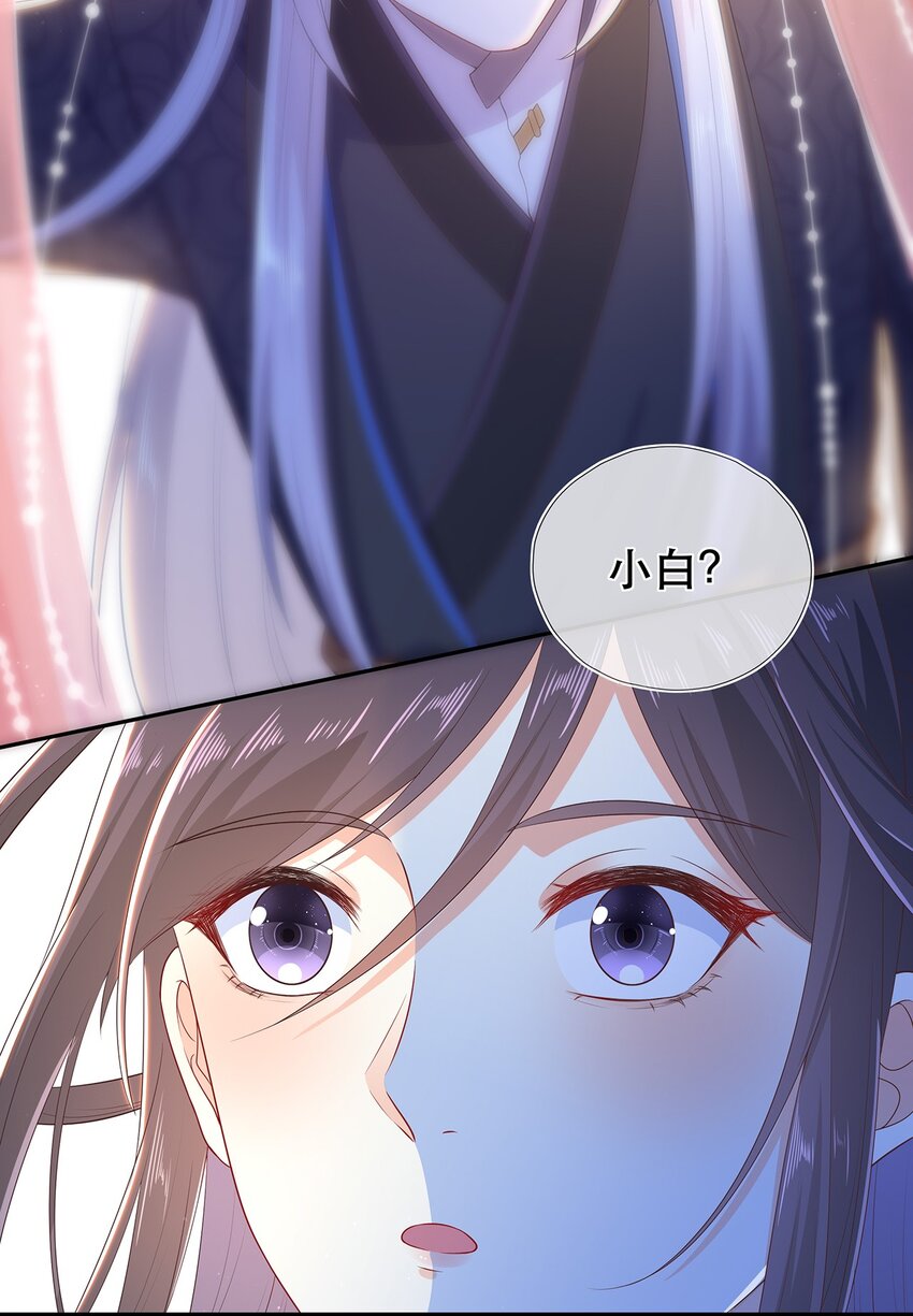 《门派只有我一个渣渣》第31话 我家煤球初长成 第40页