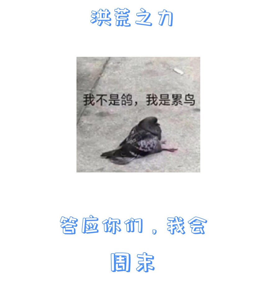 《门派只有我一个渣渣》第72话 可怜的孩子 第47页