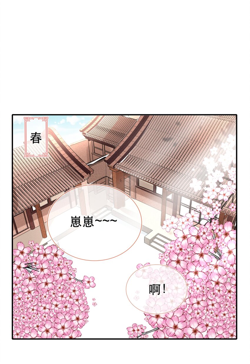 《门派只有我一个渣渣》番外篇 长大 第13页