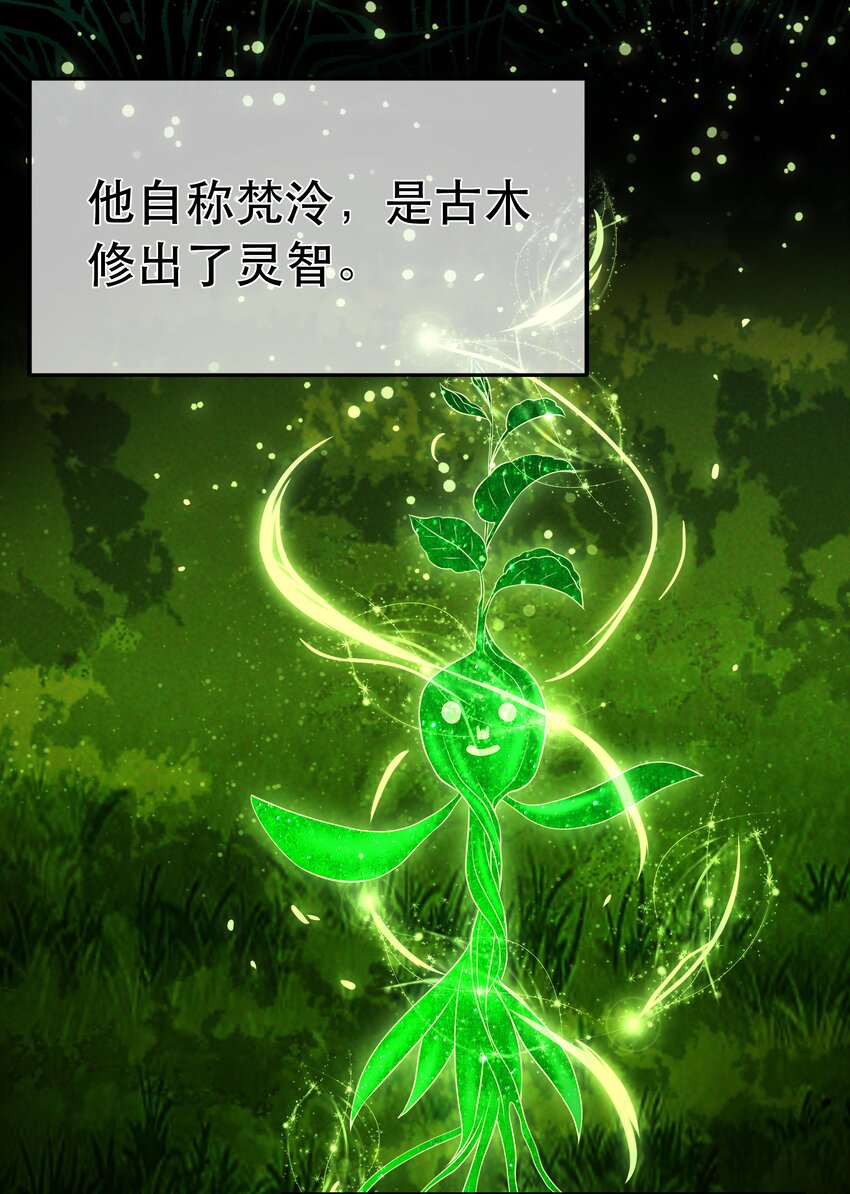 《门派只有我一个渣渣》第97话 论和树如何下棋 第30页