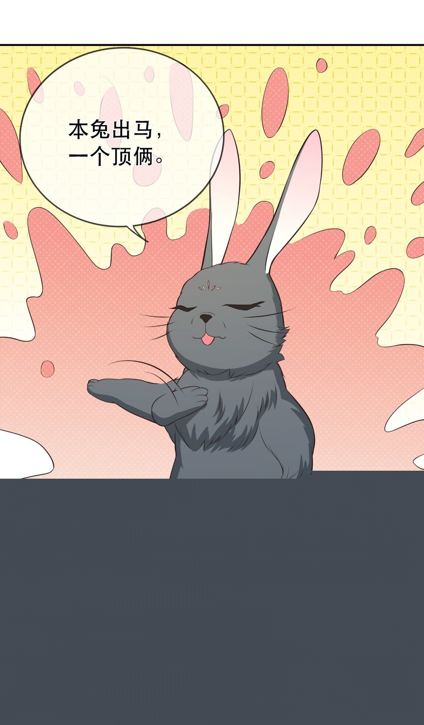 《门派只有我一个渣渣》第115话 灵兔登场 第41页