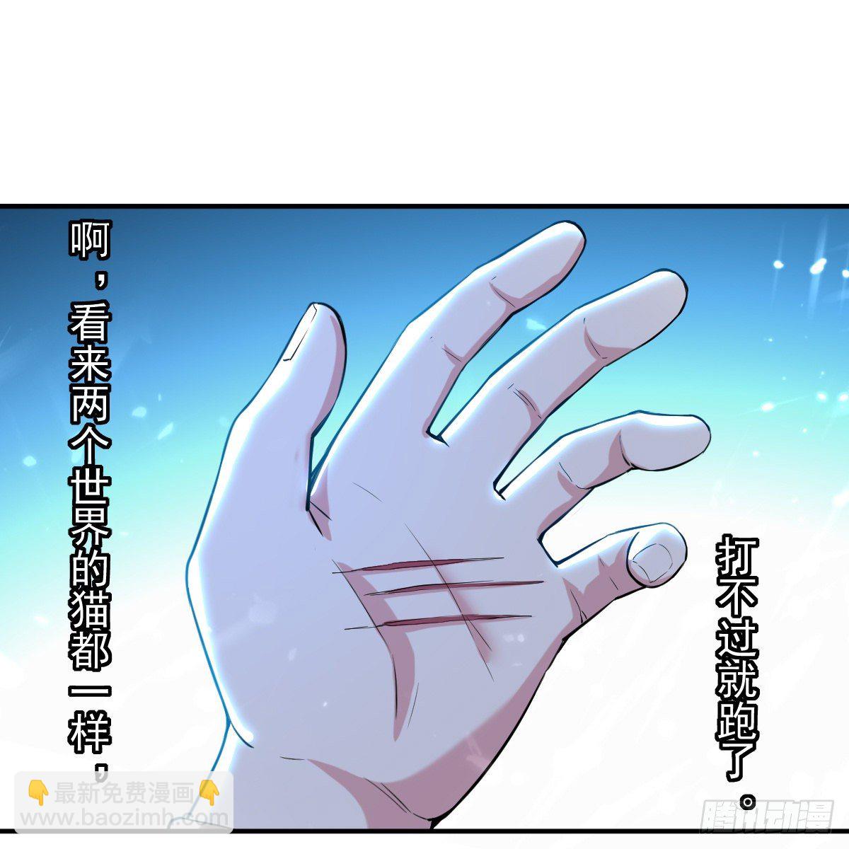 《异界超级赘婿》朱颜的刺杀 第11页