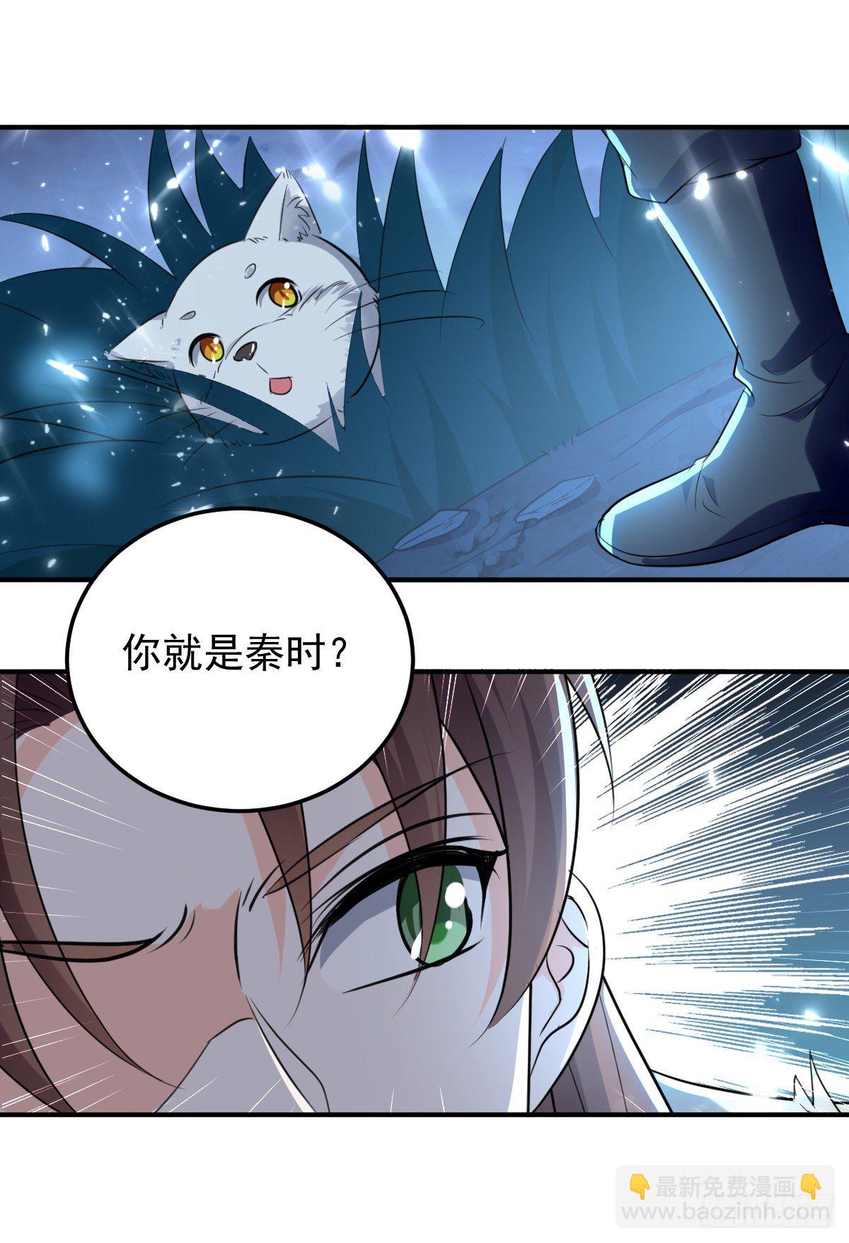 《异界超级赘婿》朱颜的刺杀 第12页