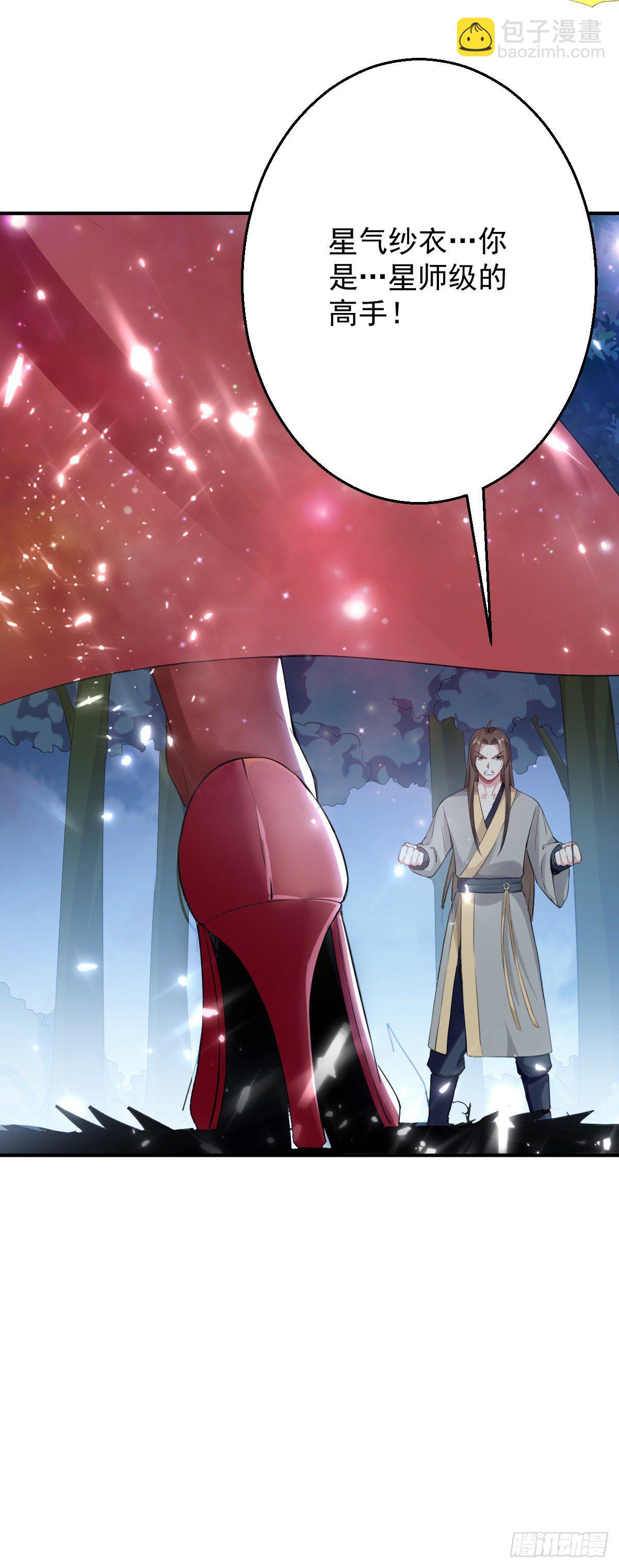 《异界超级赘婿》朱颜的刺杀 第37页
