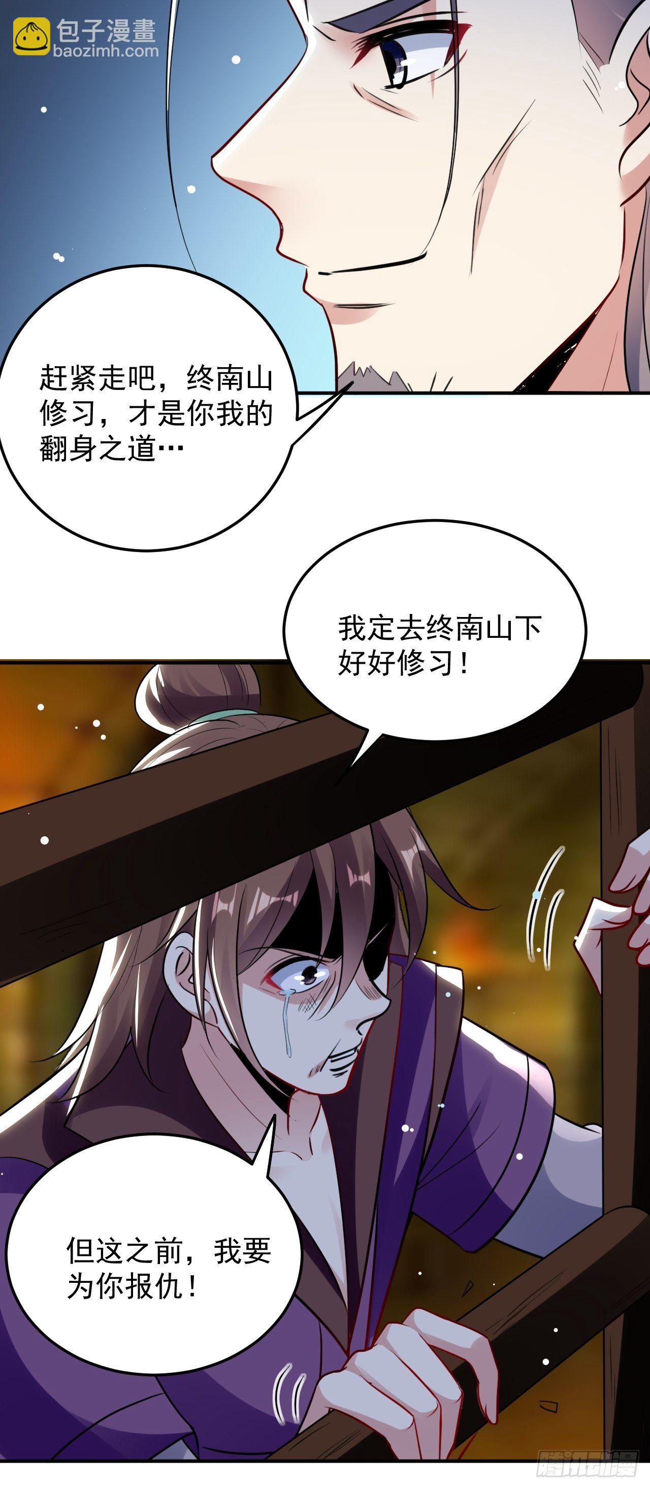 《异界超级赘婿》萧肃的刺杀 第11页