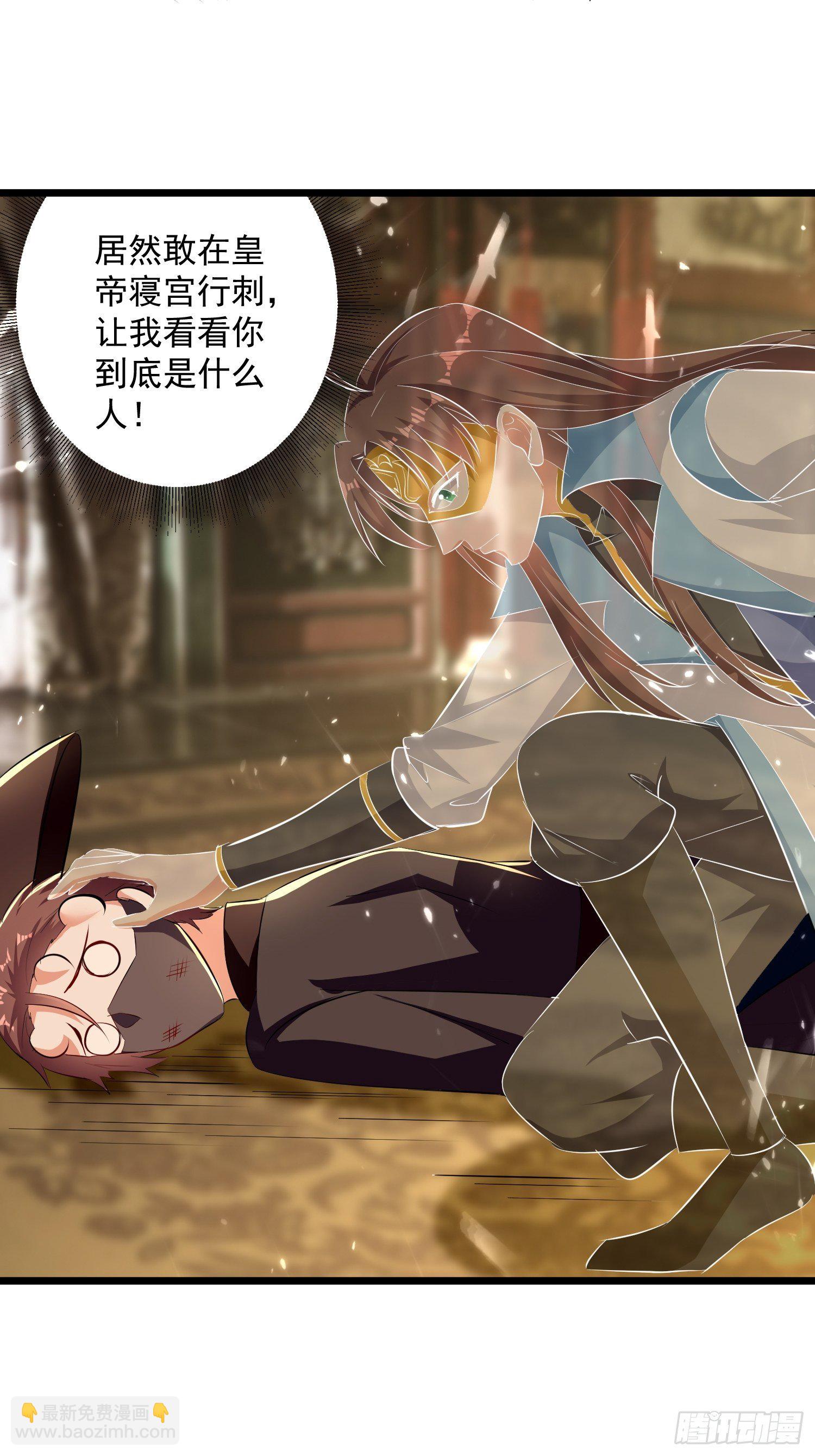《异界超级赘婿》刺客是谁 第11页