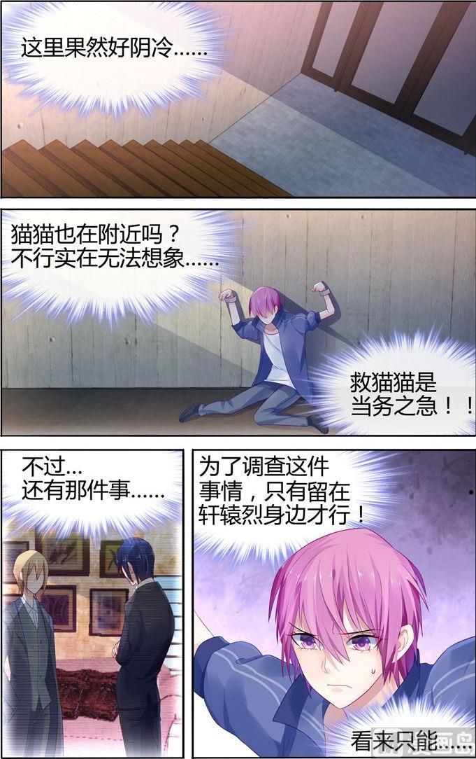 《极品辣妈好V5》第18话 法之契约 第5页