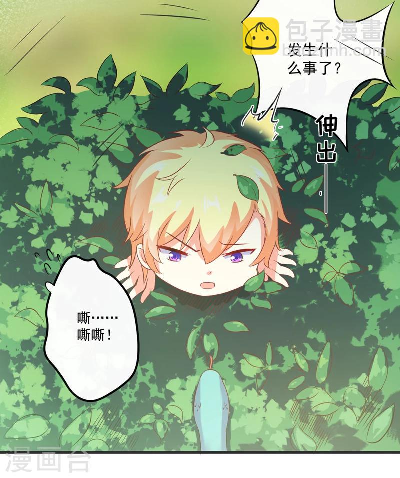 《豪门强宠季少请自重》最终话 幸福 第3页