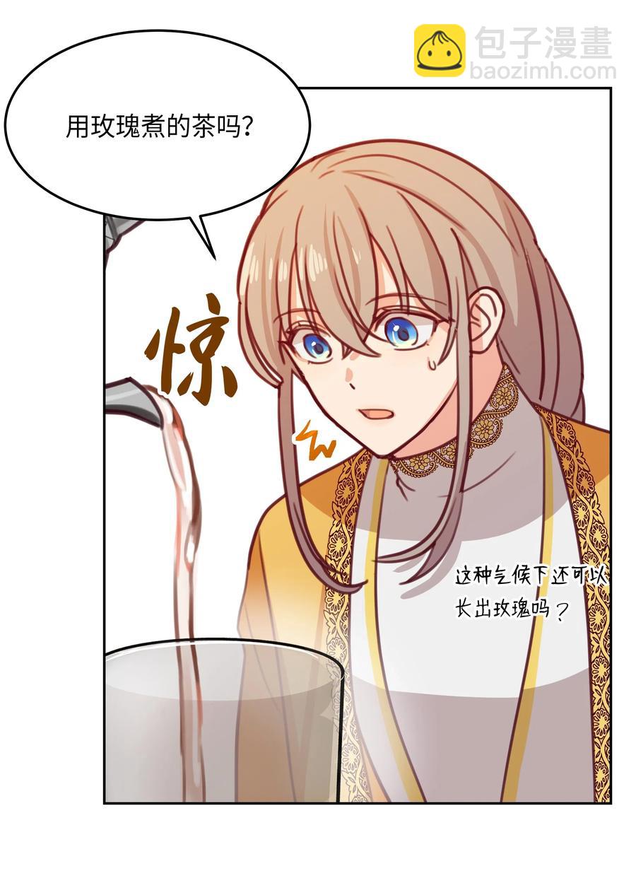 《神灯里的魔女》11 藏红花 第23页