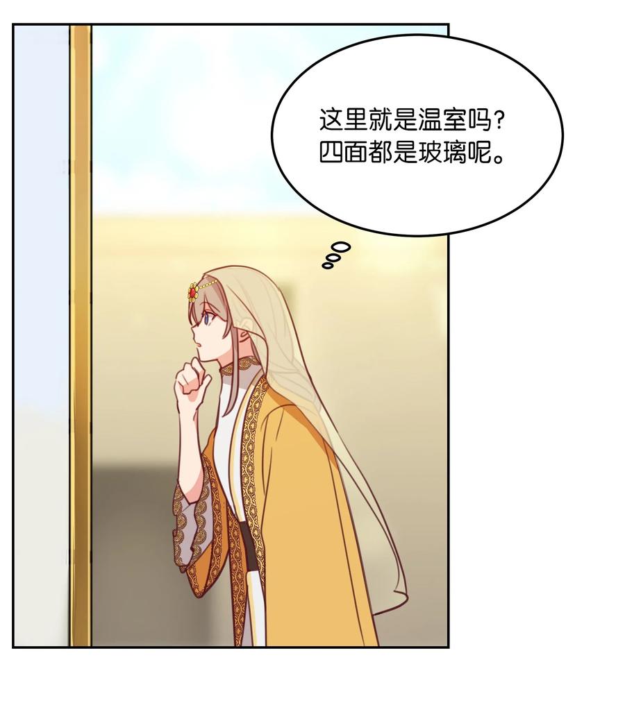 《神灯里的魔女》11 藏红花 第39页