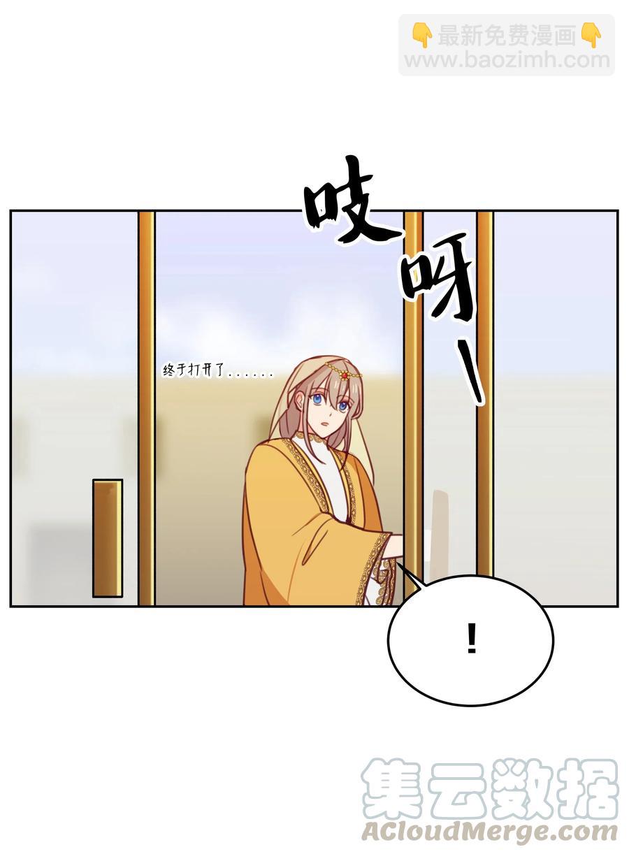 《神灯里的魔女》11 藏红花 第41页