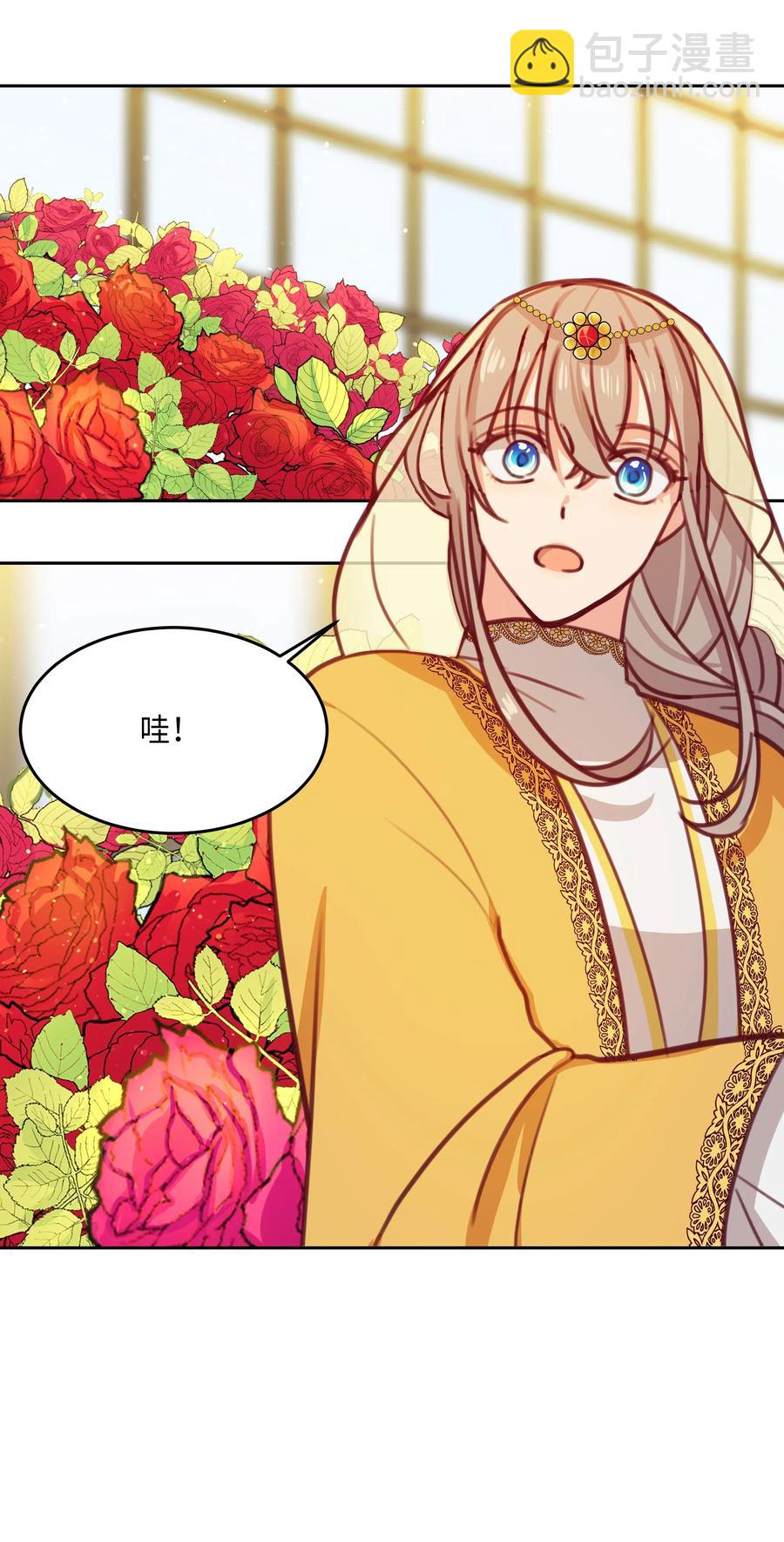 《神灯里的魔女》11 藏红花 第42页