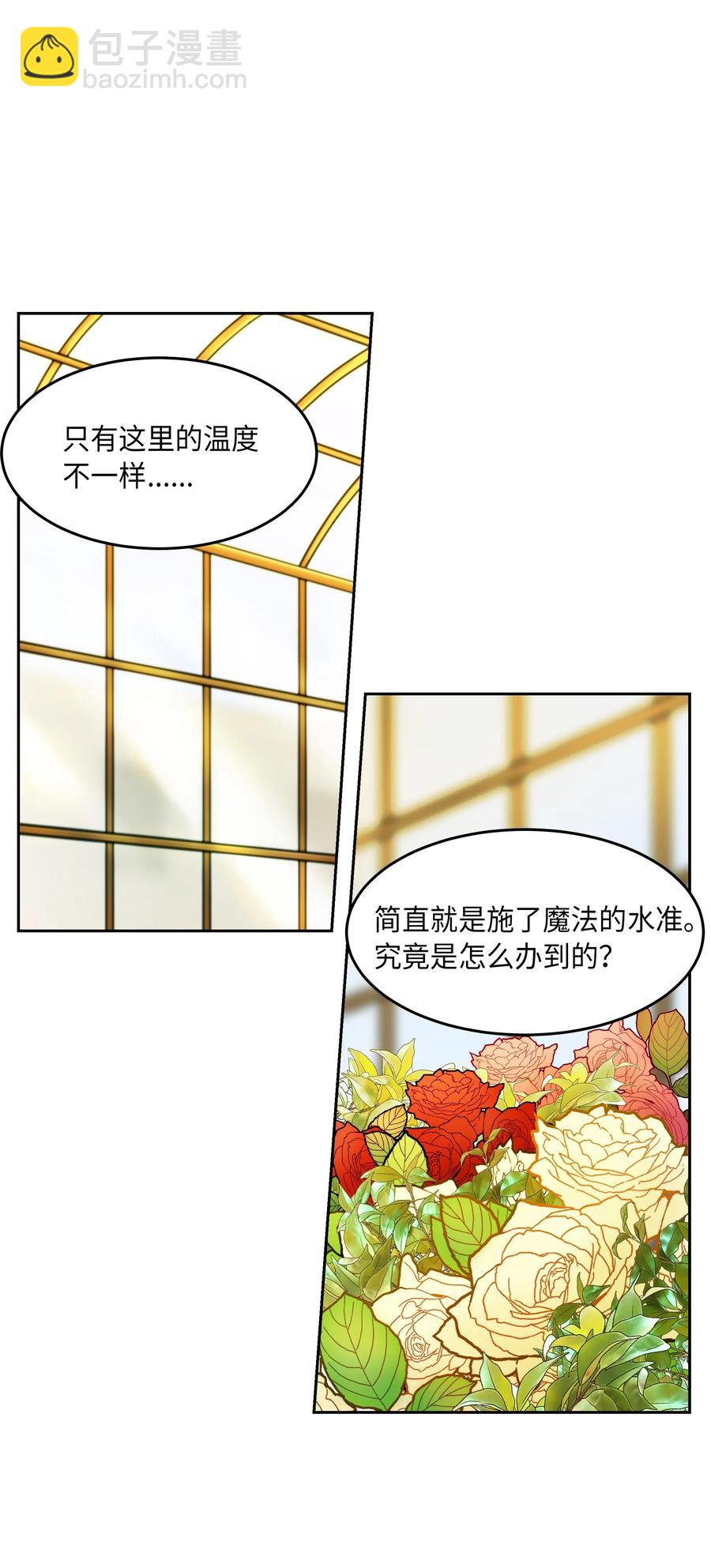 《神灯里的魔女》11 藏红花 第43页