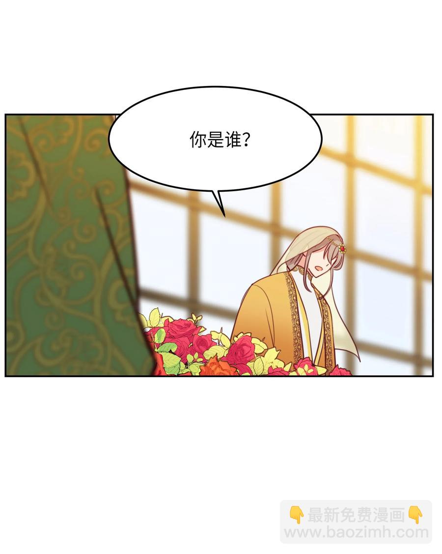 《神灯里的魔女》11 藏红花 第47页