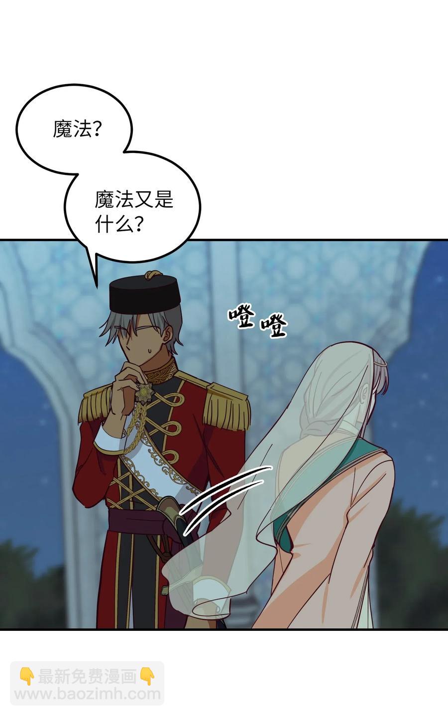 《神灯里的魔女》39 做报告 第48页