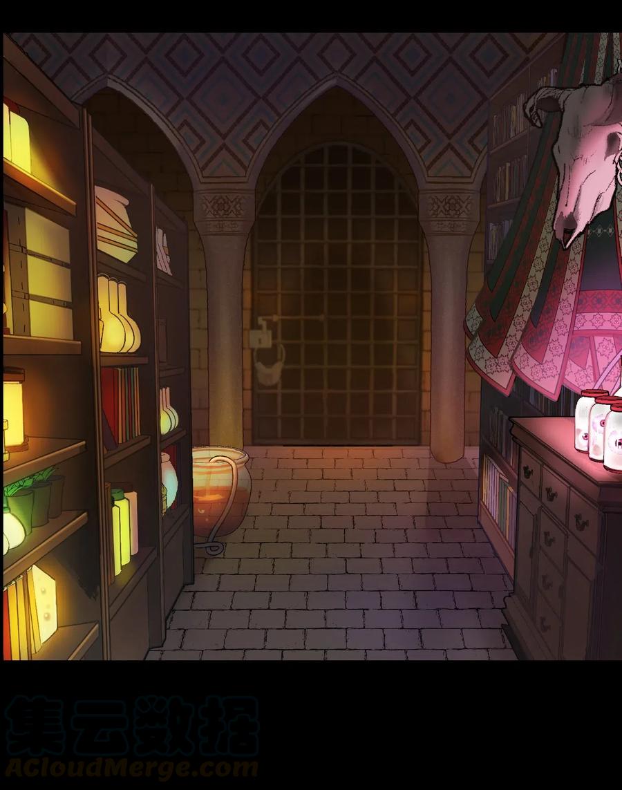 《神灯里的魔女》49 继承皇位 第28页