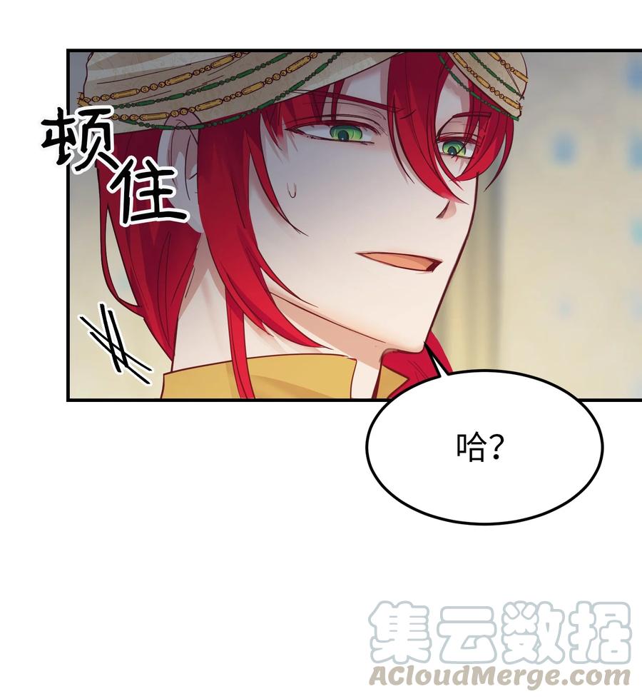 《神灯里的魔女》69 带去都城 第13页